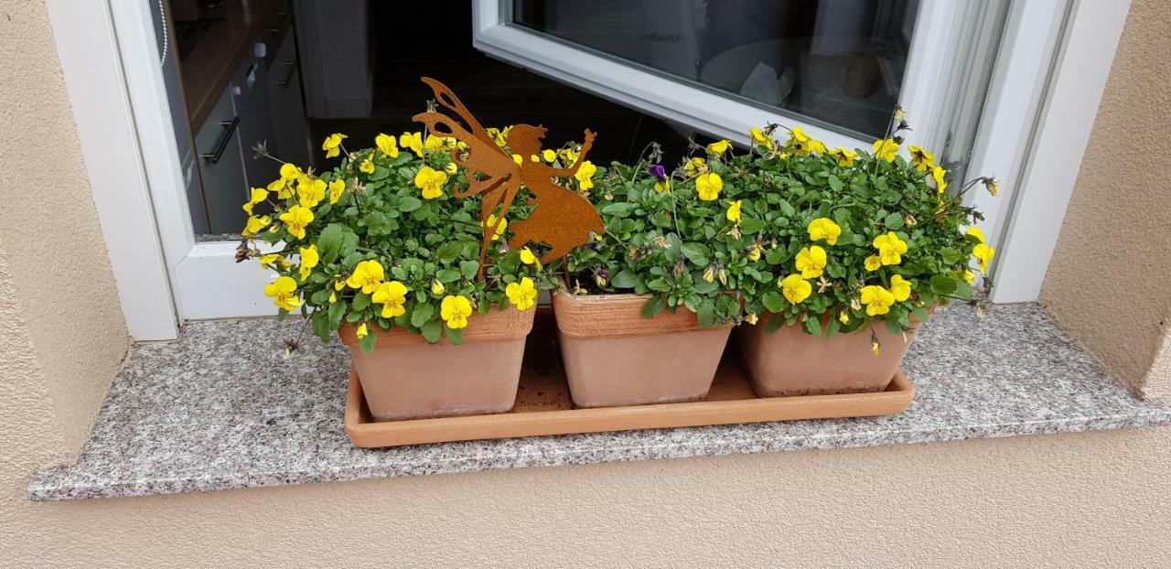 Apartmani Tuheljske Tuheljske Toplice Luaran gambar